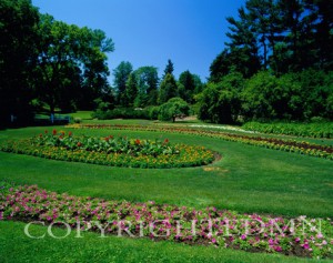 Dow Gardens, Midland, Michigan 07 - Color