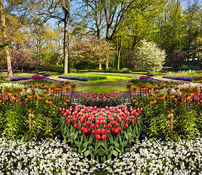 Tulip Mosaic Pan, Keukanhof Gardens, Amsterdam, Netherlands, '18